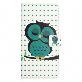 Housse Samsung Galaxy S25 FE Hibou Endormi
