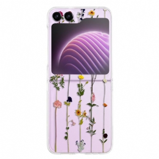 Coque Samsung Galaxy Z Flip 5 Transparente Petites Fleurs