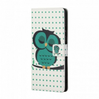 Housse Samsung Galaxy S22 Plus 5G Hibou Endormi