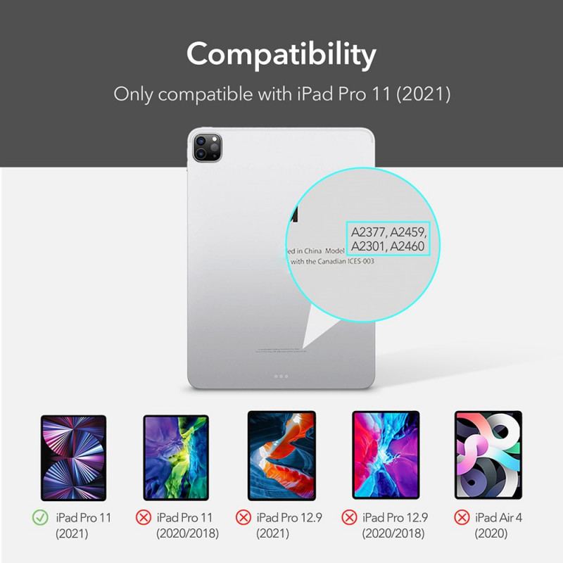 Coque iPad Pro 11" (2021) Flexible Transparente teintée