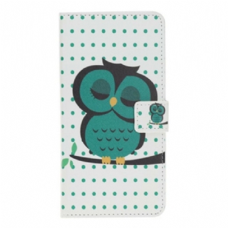 Housse iPhone 12 / 12 Pro Hibou Endormi