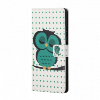 Housse Samsung Galaxy A13 5G Hibou Endormi